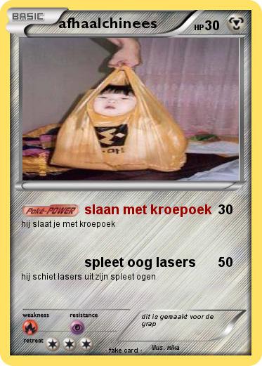 Pokemon afhaalchinees