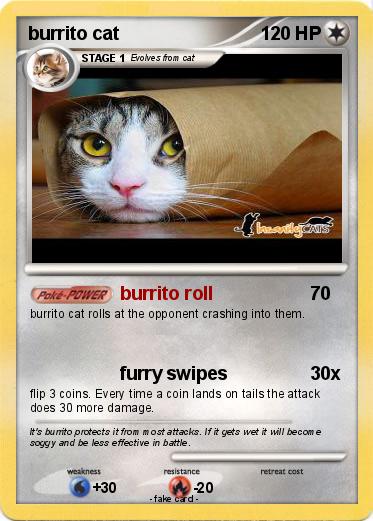 Pokemon burrito cat