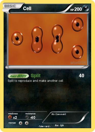 Pokemon Cell
