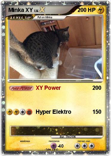 Pokemon Minka XY