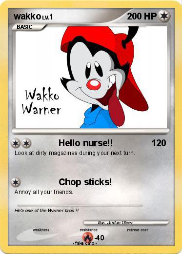 Pokemon wakko