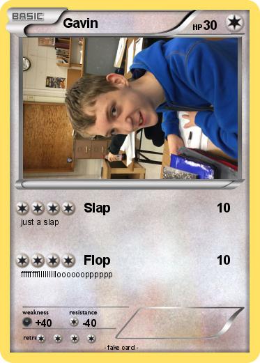Pokemon Gavin
