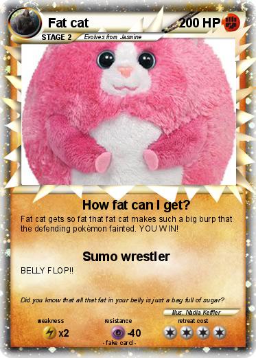 Pokemon Fat cat