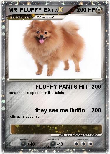 Pokemon MR  FLUFFY EX