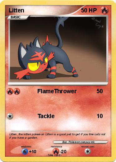 Pokemon Litten