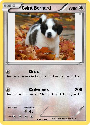 Pokemon Saint Bernard