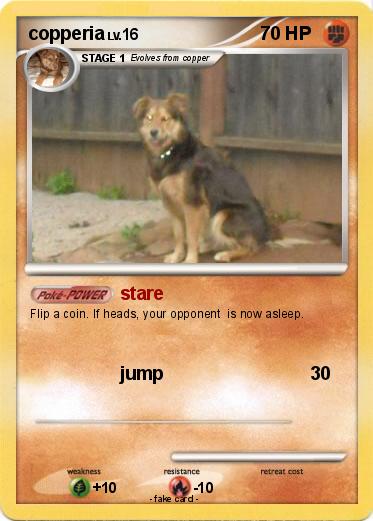 Pokemon copperia