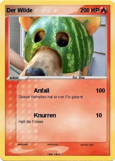 Pokemon Der Wilde