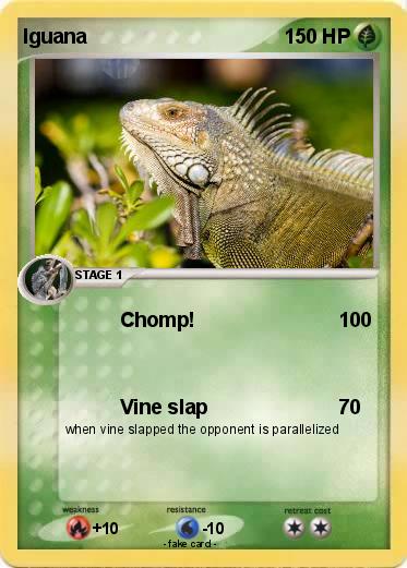 Pokemon Iguana Pokemon Iguana