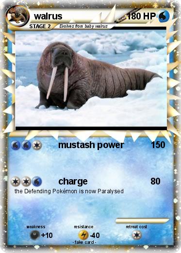 Pokemon walrus