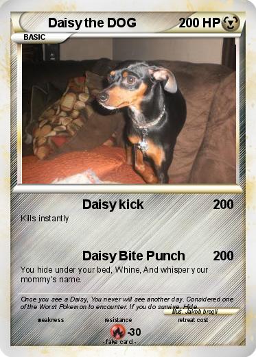 Pokemon Daisy the DOG