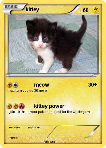 Pokemon kittey