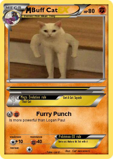Pokemon Buff Cat