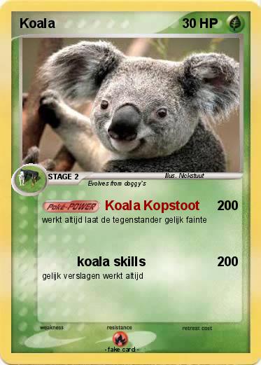 Pokemon Koala