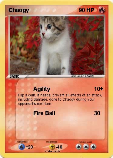 Pokemon Chaogy