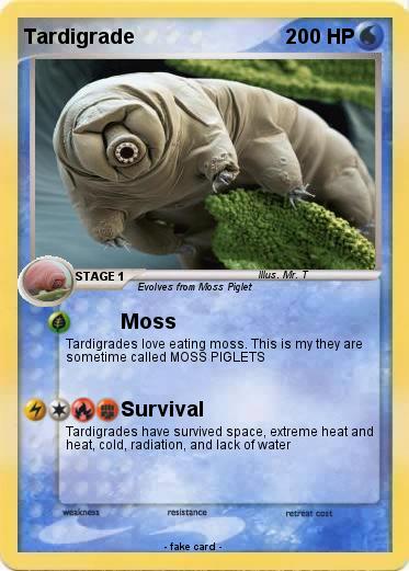 Pokemon Tardigrade