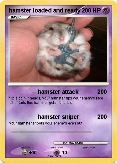 Pokemon hamster loaded and ready