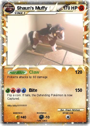 Pokemon Shaun's Muffy