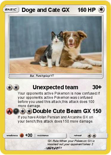 Pokemon Doge and Cate GX