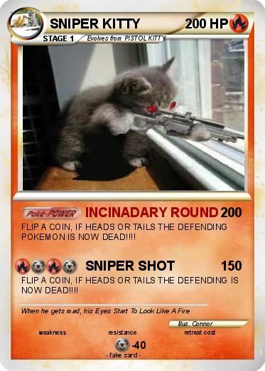 Pokemon SNIPER KITTY