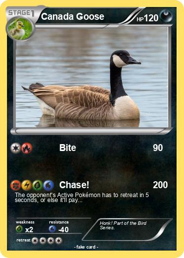 Pokemon Canada Goose
