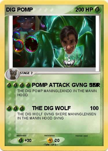 Pokemon DIG POMP