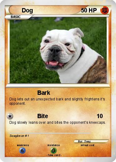 Pokemon Dog