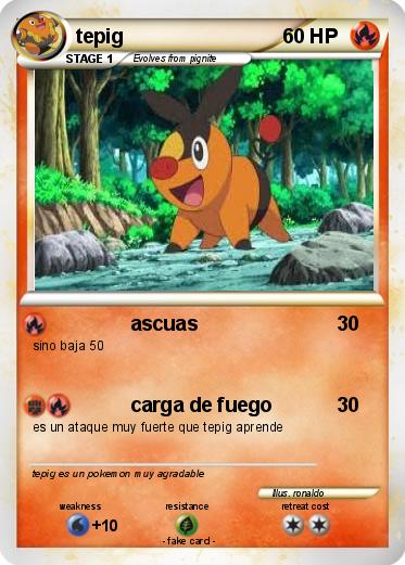 Pokemon tepig