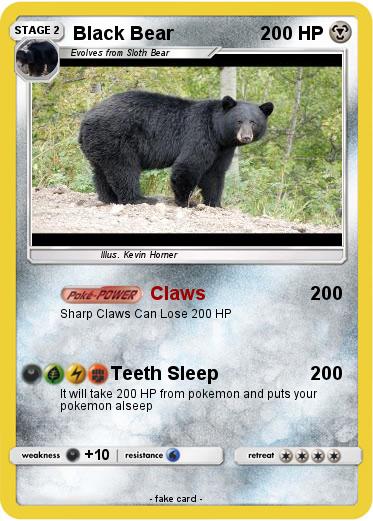 Pokemon Black Bear
