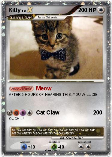 Pokemon Kitty
