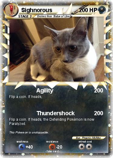 Pokemon Sighnorous