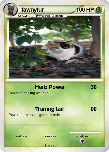 Pokemon Tawnyfur