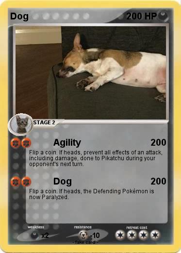 Pokemon Dog