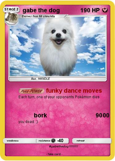 Pokemon gabe the dog