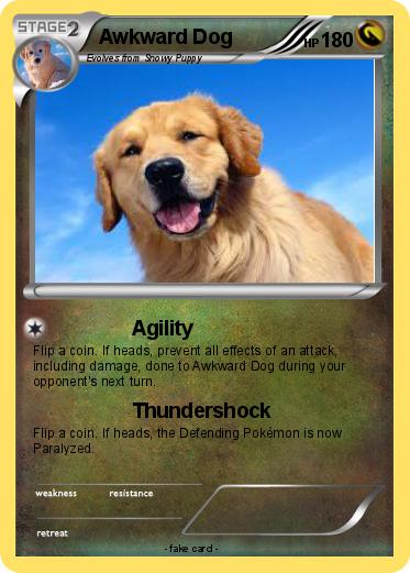 Pokemon Awkward Dog
