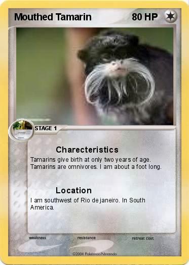 Pokemon Mouthed Tamarin