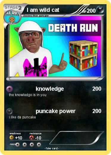 Pokemon I am wild cat
