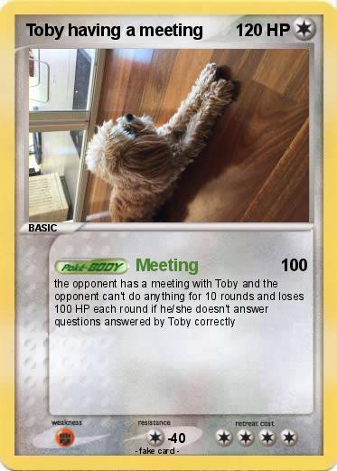 Pokemon Toby having a meeting
