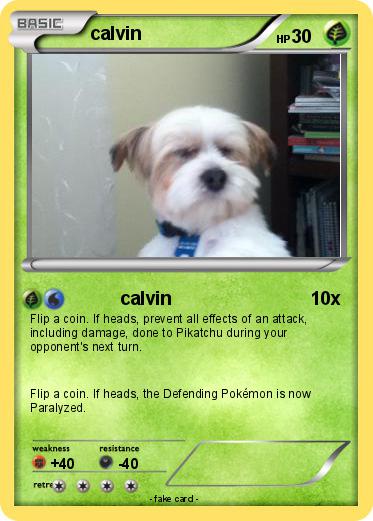 Pokemon calvin