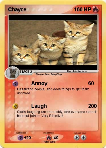 Pokemon Chayce