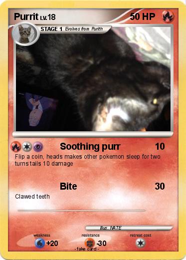 Pokemon Purrit