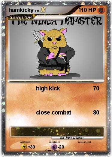 Pokemon hamkicky