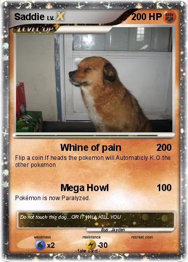 Pokemon Saddie