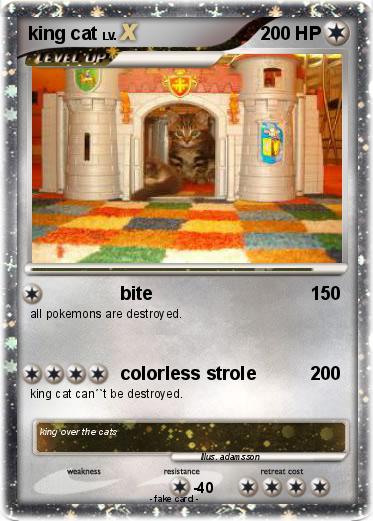 Pokemon king cat