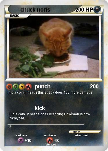 Pokemon chuck noris