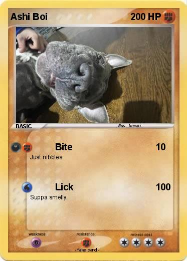 Pokemon Ashi Boi