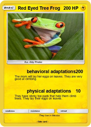 Pokemon Red Eyed Tree Frog