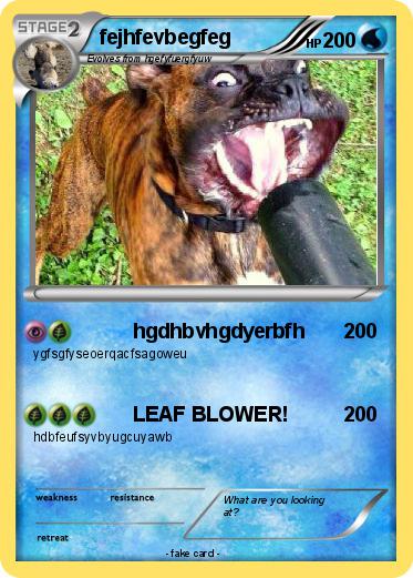 Pokemon fejhfevbegfeg