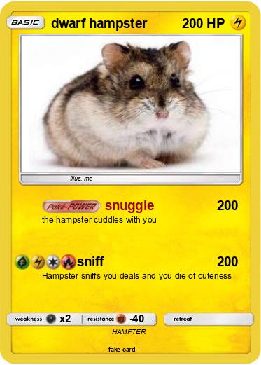Pokemon dwarf hampster