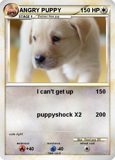 Pokemon ANGRY PUPPY